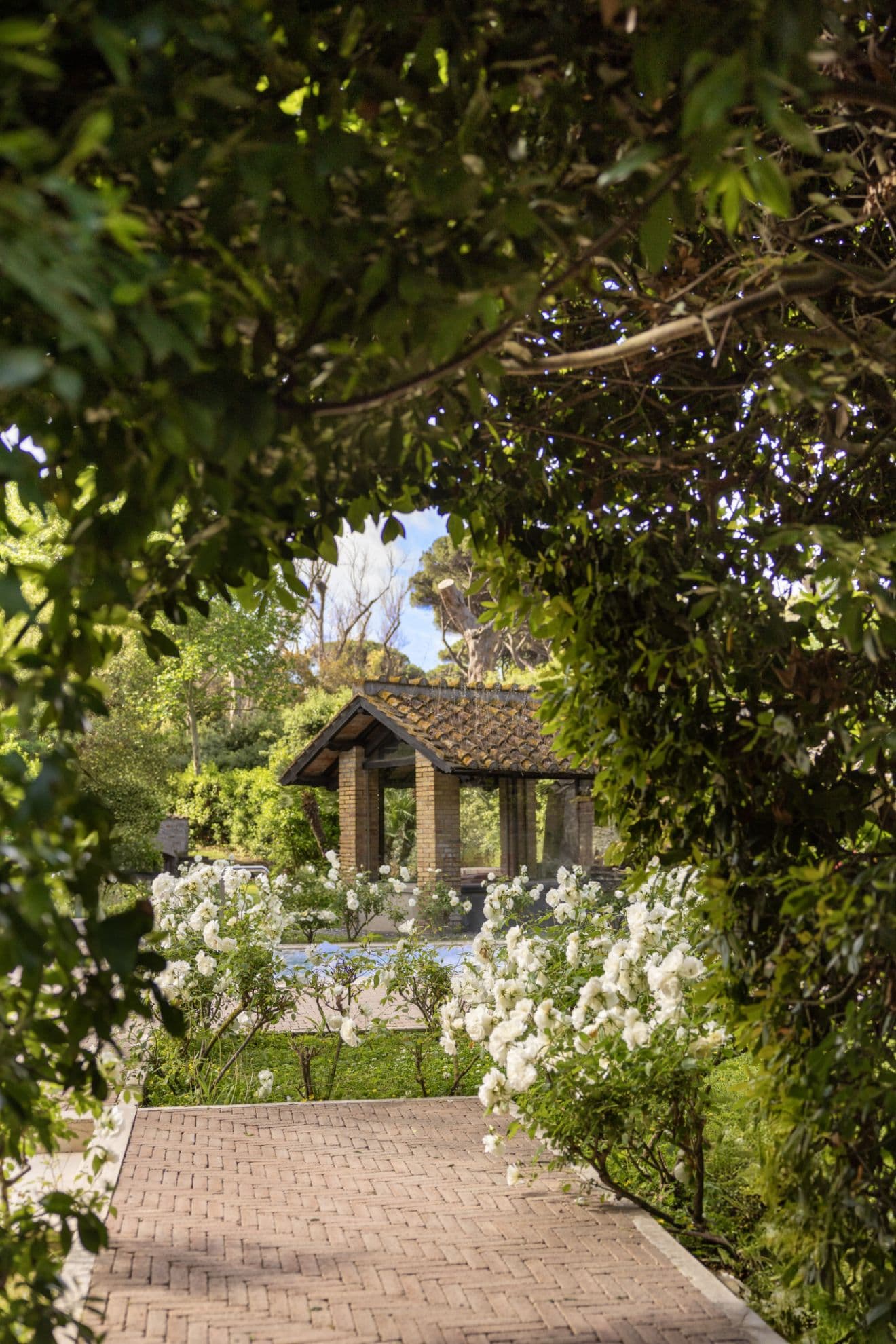 Rome