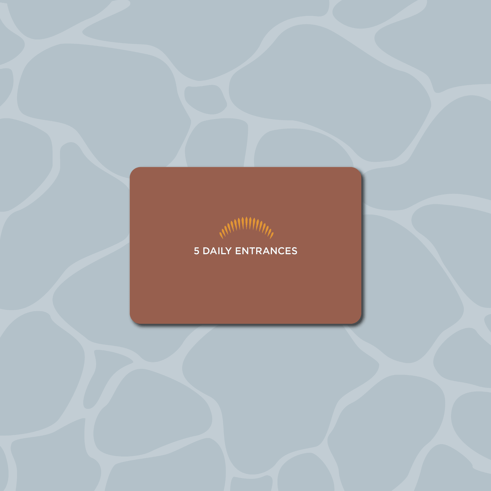 5 daily admission | all access
